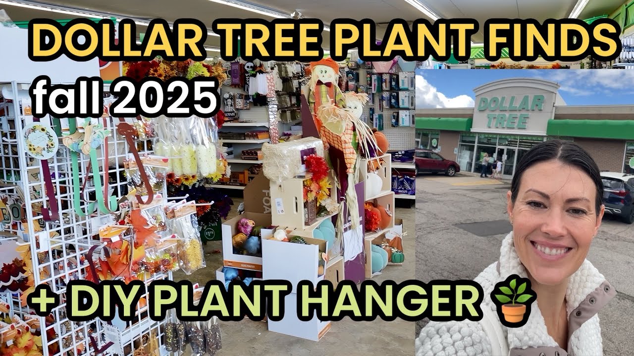 Fall 2025 Dollar Tree Plant Finds & DIY Plant Hanger - Dollar Tree Finds