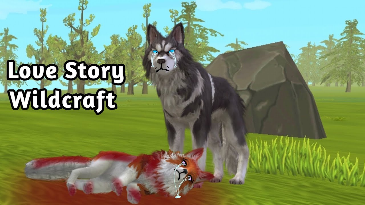 Love Story) Wildcraft part 1?