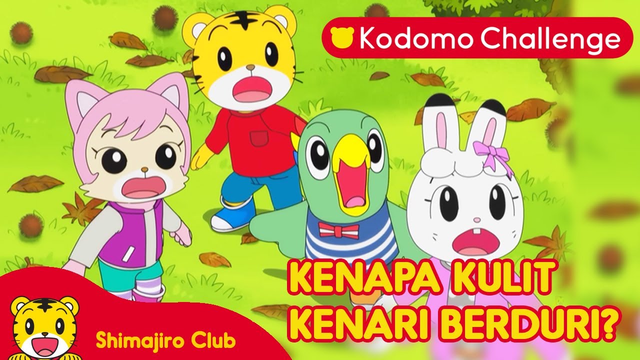 Kenapa Kulit Kacang Kenari Berduri? I Kartun Anak I Shimajiro I Kodomo Challenge