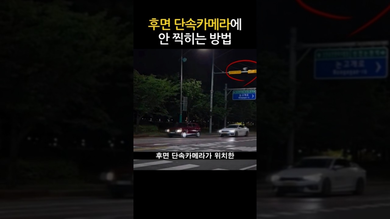후면 단속카메라, 도대체 어디서 찍힐까? #shorts