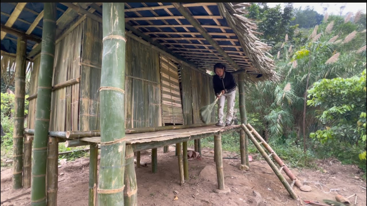 Build a new life and perfect the house | survival camp