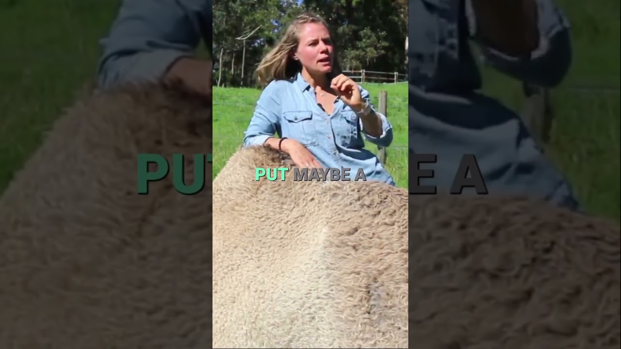 Secrets *Unlocked* for Camel Behaviour