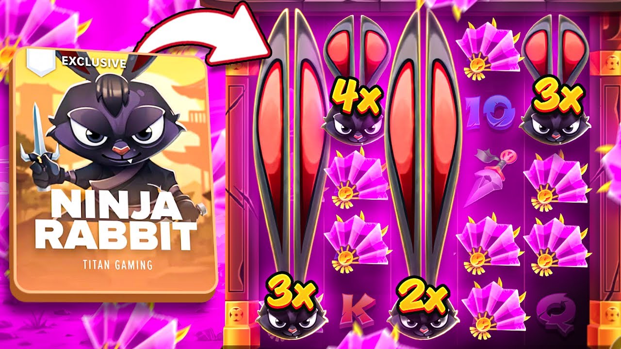HUGE WILD SETUP ON NINJA RABBIT!