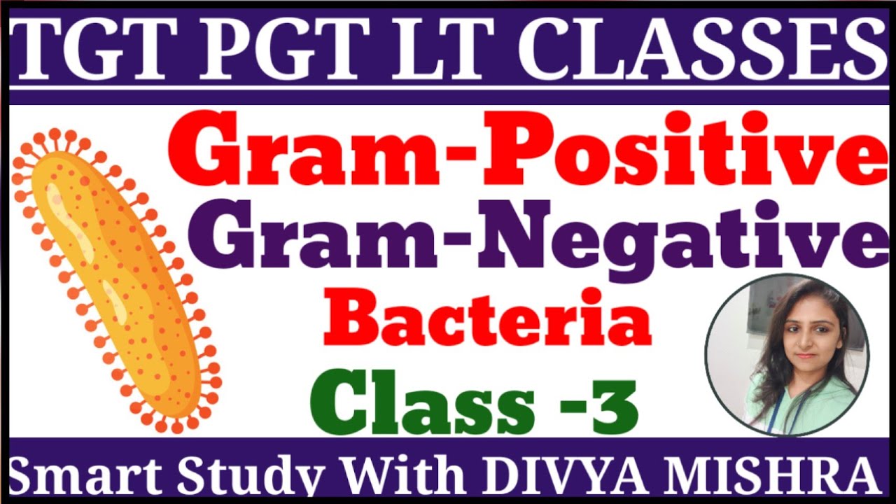 Gram positive and Gram Negative Bacteria Example | Human Physiology Classes By Divya Mishra ma'am