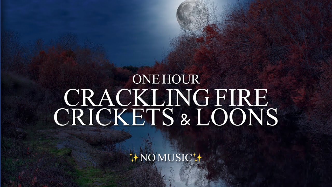 Crackling Campfire, Lots of Night Bugs, & Loons Calling At Night - {1 Hour} *No Music*
