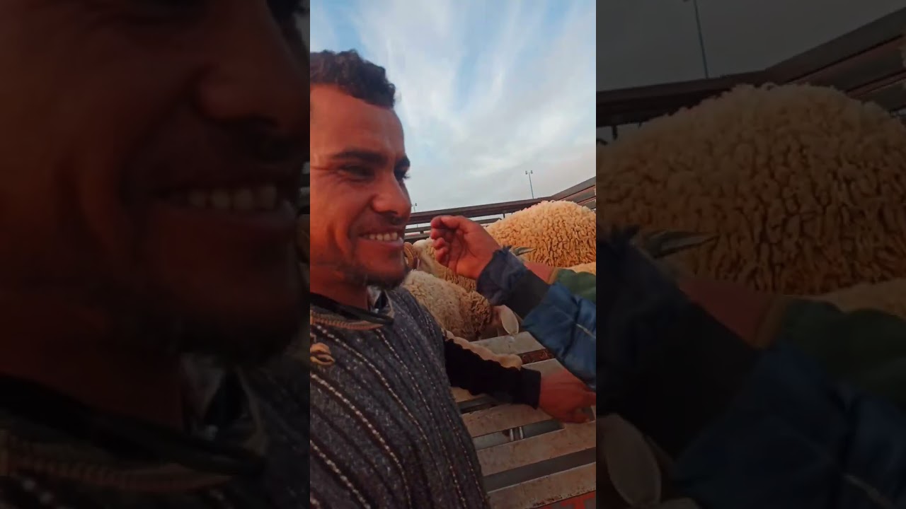 جولة مفصلة بسوق الخميس هوارة إقليم تارودانت