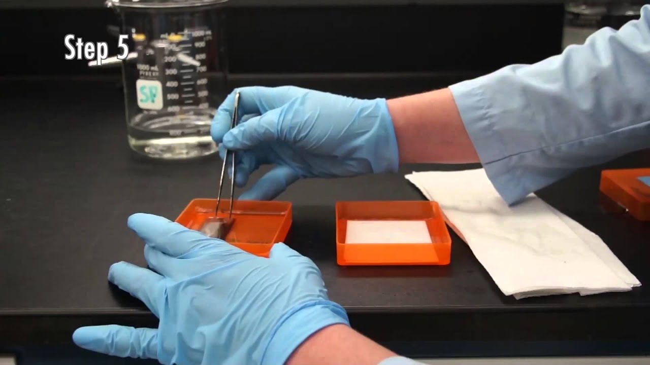Protein microarray interaction assay