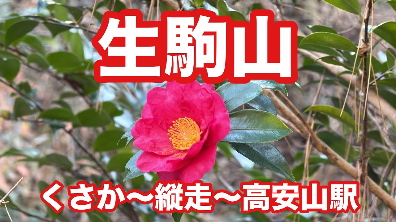 生駒山（くさか〜縦走〜高安山駅）　#110