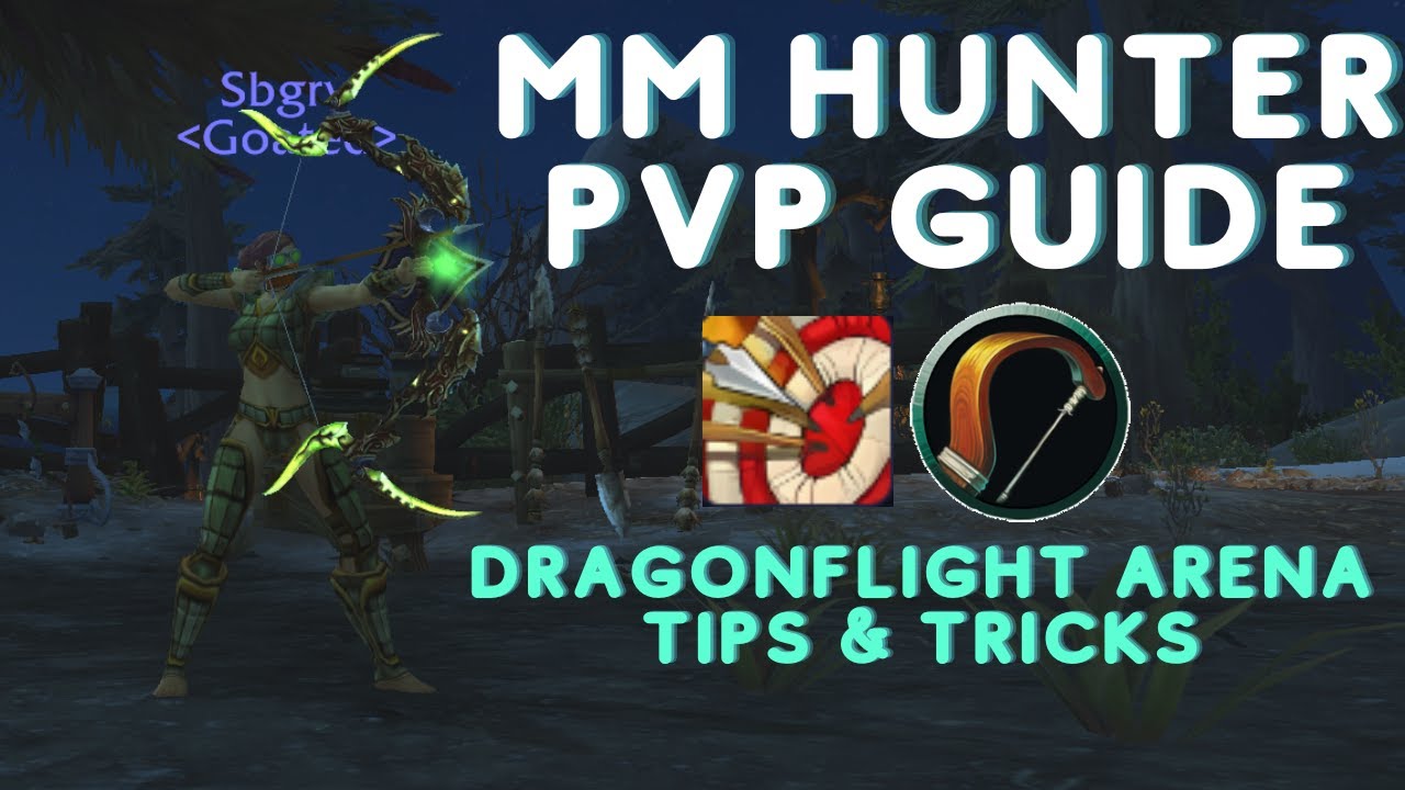 DRAGONFLIGHT MM HUNTER PVP GUIDE - In-depth High Level Gameplay 3100XP