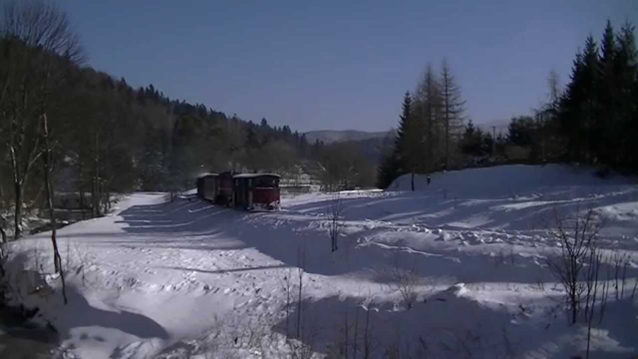 Lyd2-06 , Żubracze cz.2