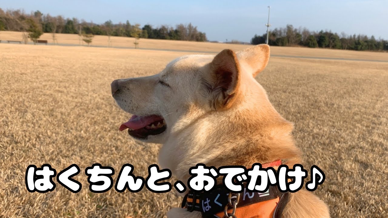 はくちんとお出かけ♪