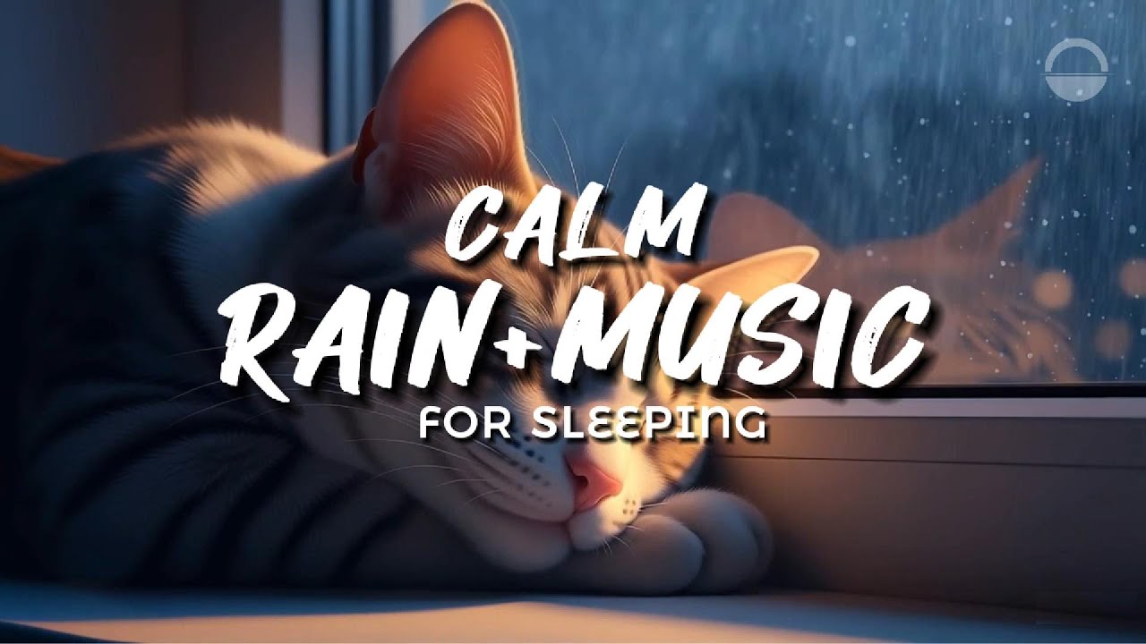 Rainy Night Sleep | Soft Music & Sleeping Cat