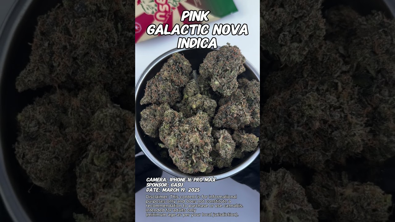 Pink Galactic Nova | Gasu Sponsored | Strain Spotlight