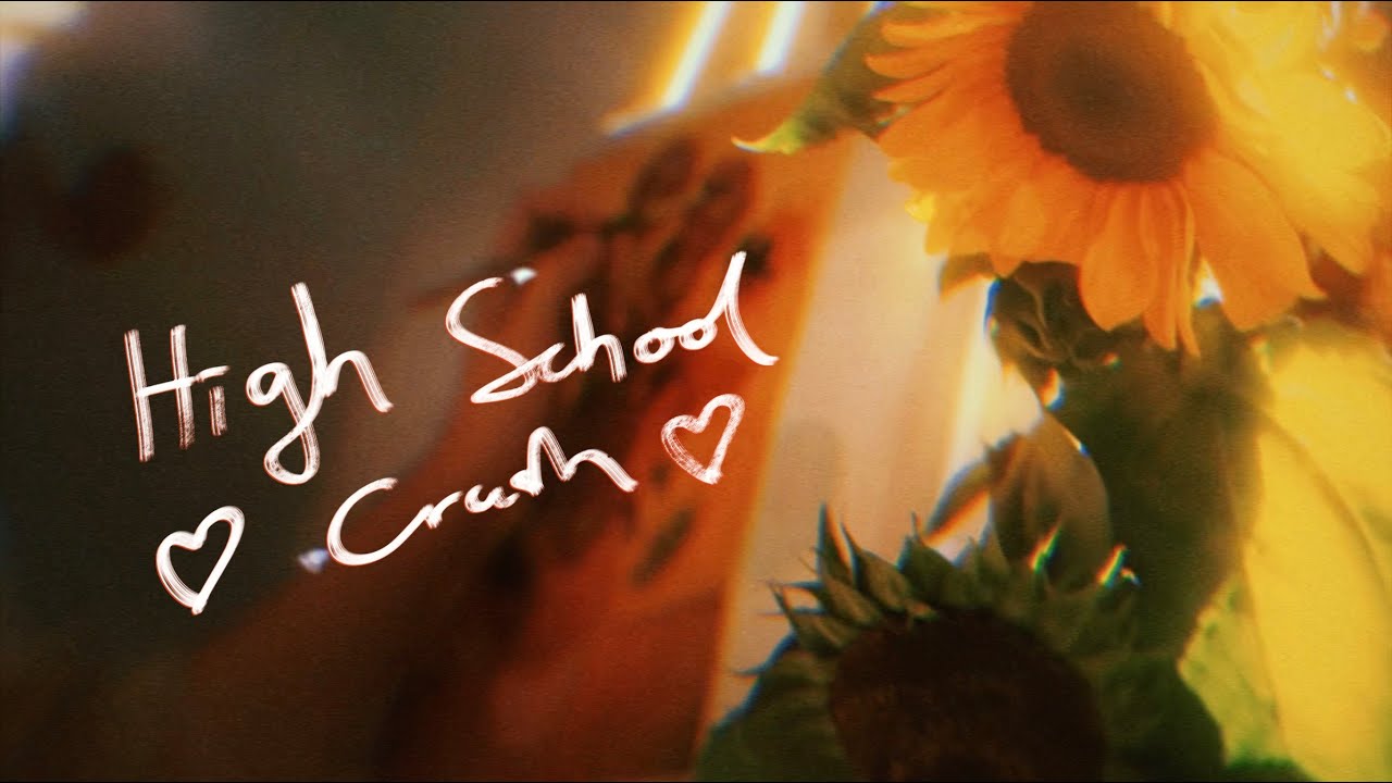 Hab - HIGH SCHOOL CRUSH (Visualizer)
