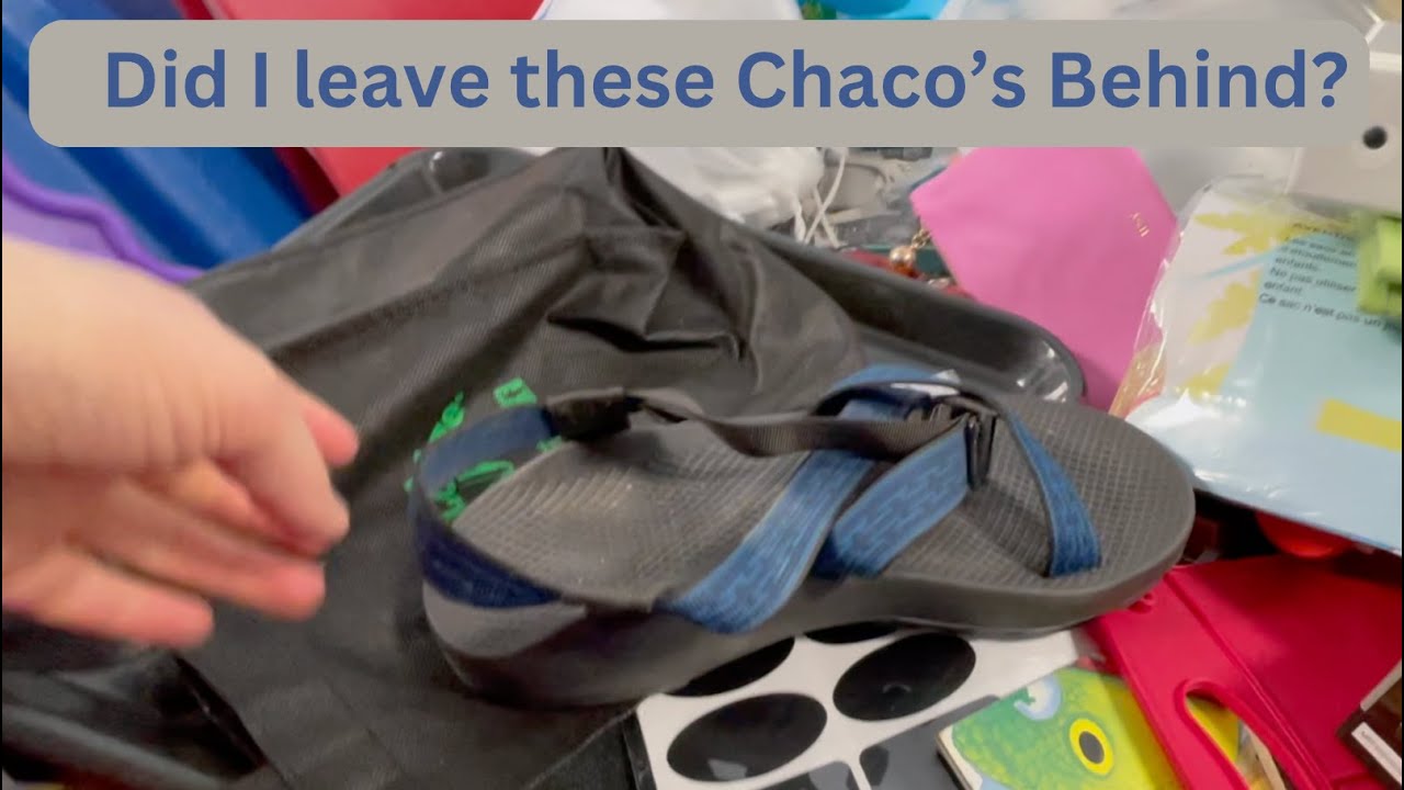 Toilet Seats At The Goodwill Bins