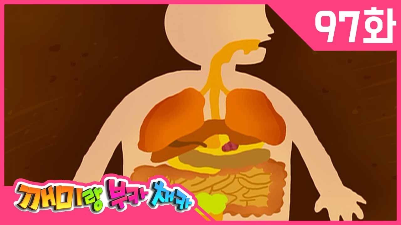자연탐구애니메이션 [호기심공룡 깨미랑 부카채카 KEMY] #097 음식이 정말 똥이 돼 #음식 #똥