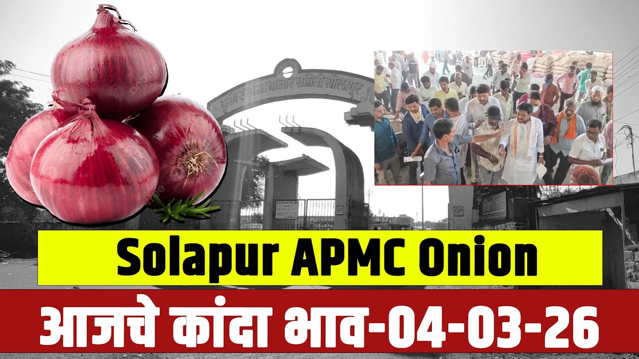Solapur APMC Onion: आजचे कांदा भाव-04-03-26