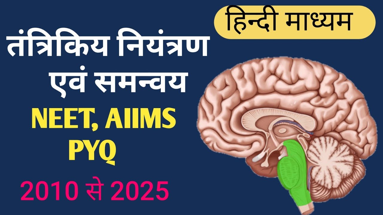 Neural Control & Coordination ✍ तंत्रिकीय नियंत्रण एवं समन्वय | NEET PYQ 2005–2024