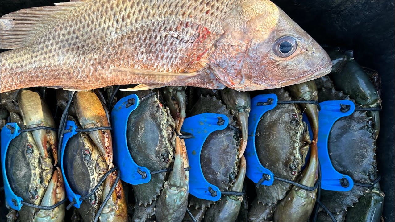 FINGERMARK | WINTER MUDCRABS | CATCH AND COOK #australia #fishing