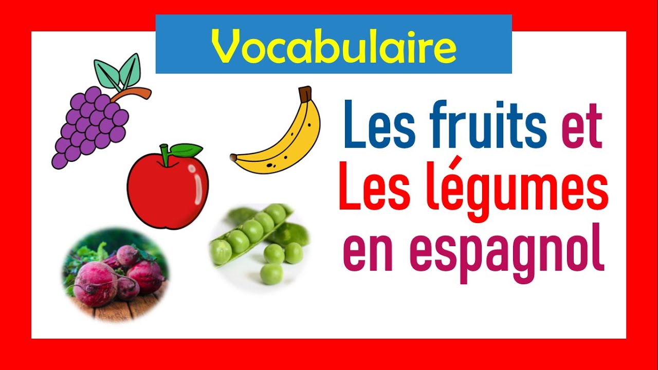 Apprendre l'espagnol Vocabulaire 