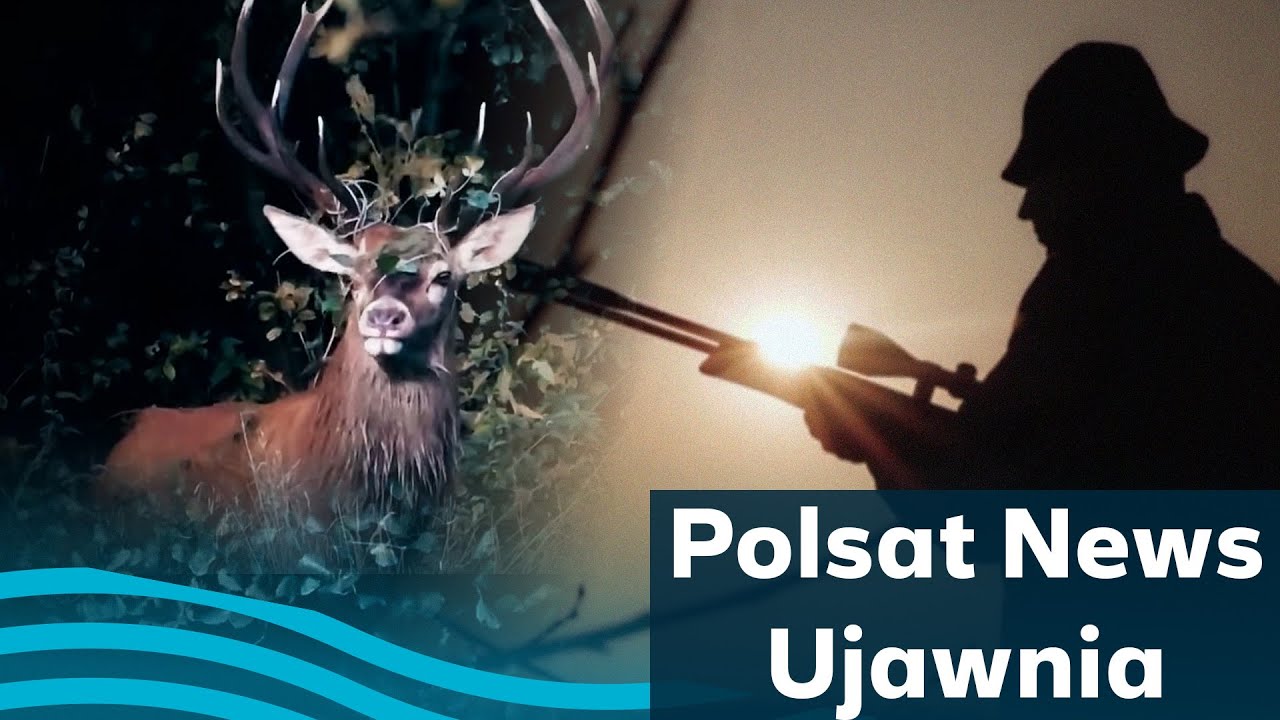 Myśliwi czy kłusownicy? Cała prawda o polowaniach w Polsce