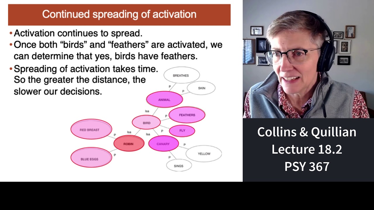 367 Lecture 18.2 Collins & Quillian's Model of Semantic Knowledge