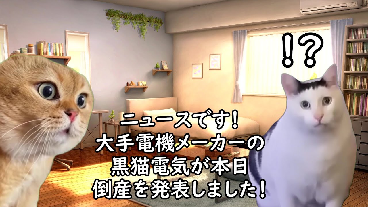会社が倒産する前兆あるある【猫ミーム】
