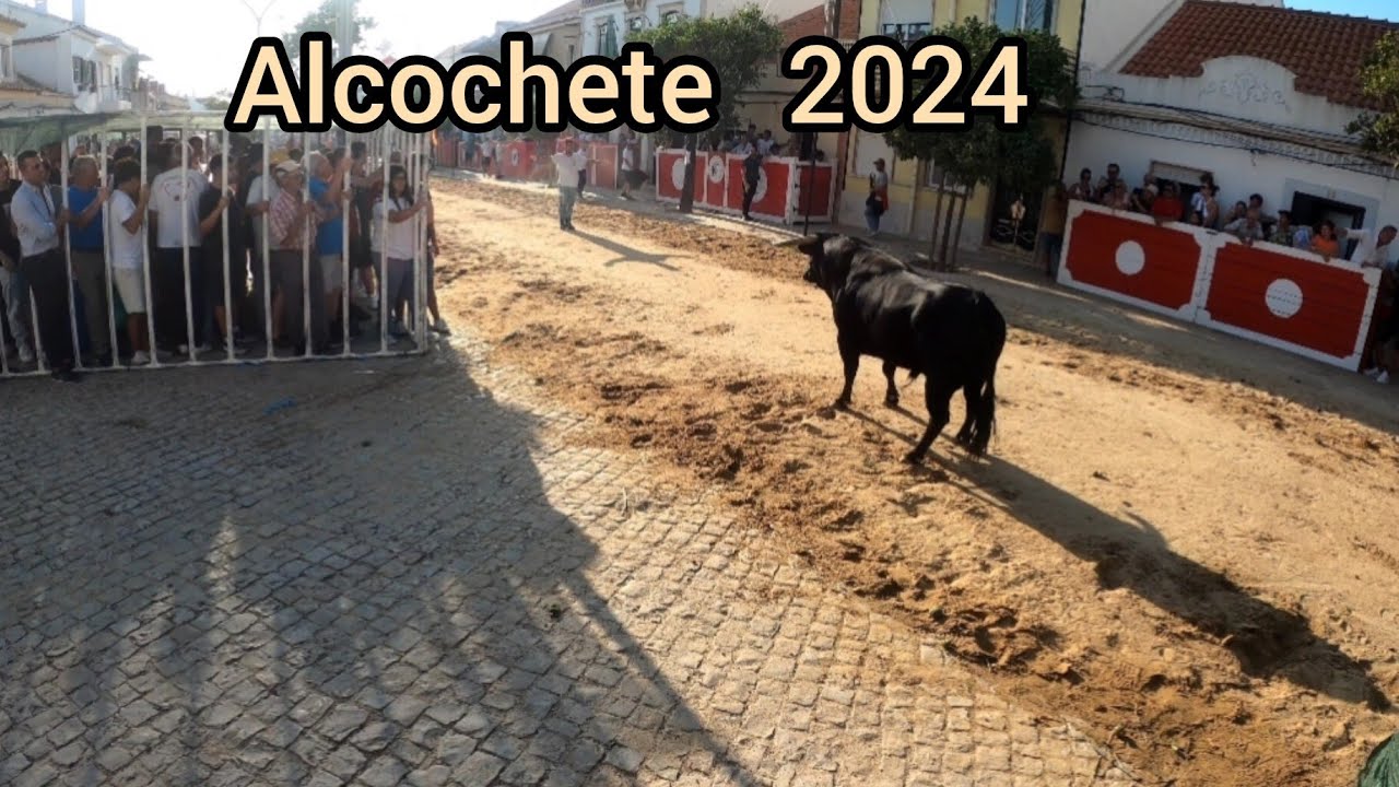 Largadas de Touros Alcochete 2024