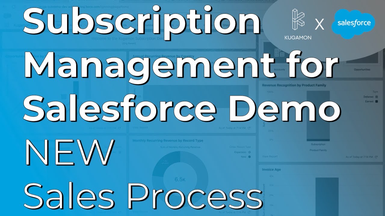 Управление подписками для Salesforce (НОВЫЙ процесс продаж) (Лето 2025) #salesforce #demo