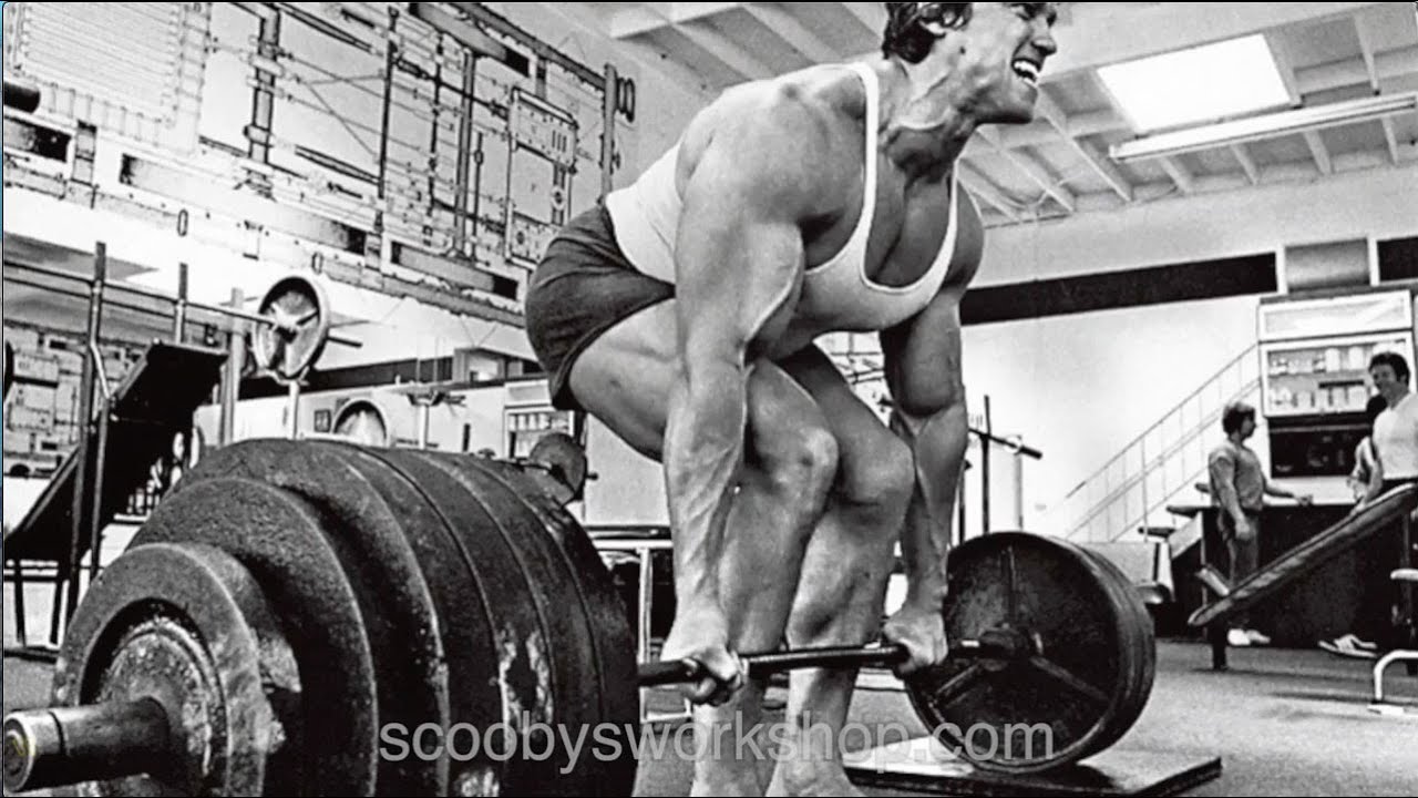 Big Weights Or Big Volume For Big Muscles