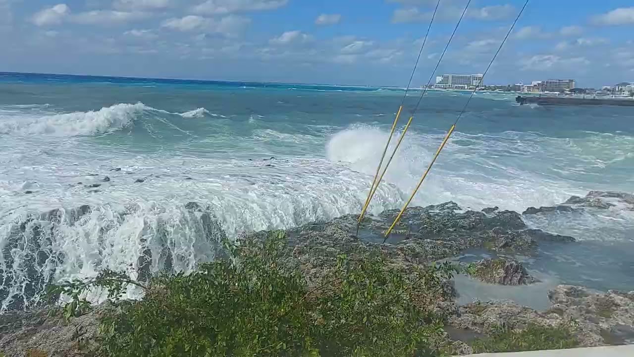 #coldfront #cayman 