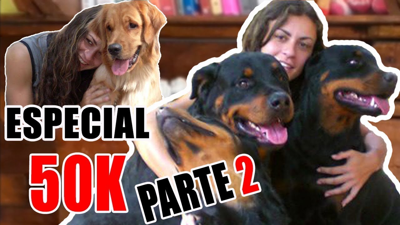 MEUS CERTIFICADOS - Especial 50k PARTE 2