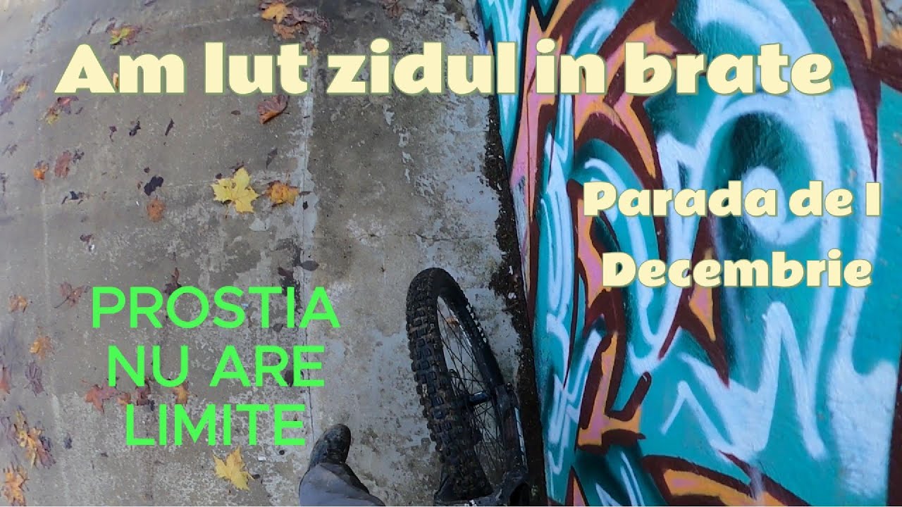 Am intrat in zid +Parada de I decembrie