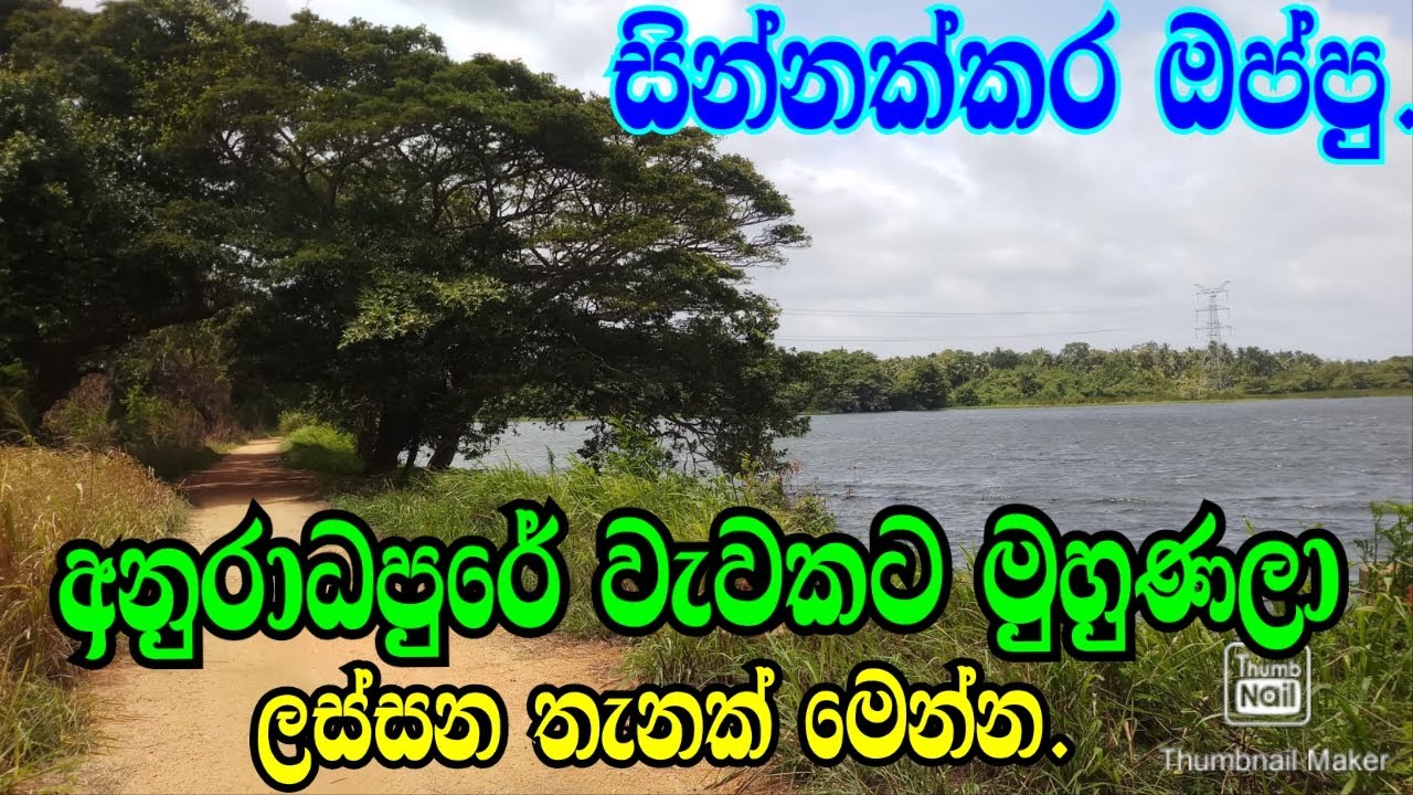 අනුරාධපුරෙන් වැවකට මුහුණලා ලස්සන තැනක් මෙන්න.podi malli land/anuradhapura land/aduwata idam/house