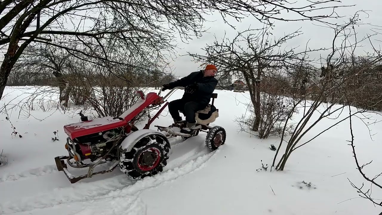 Як тому коту, коли немає чим зайнятися!