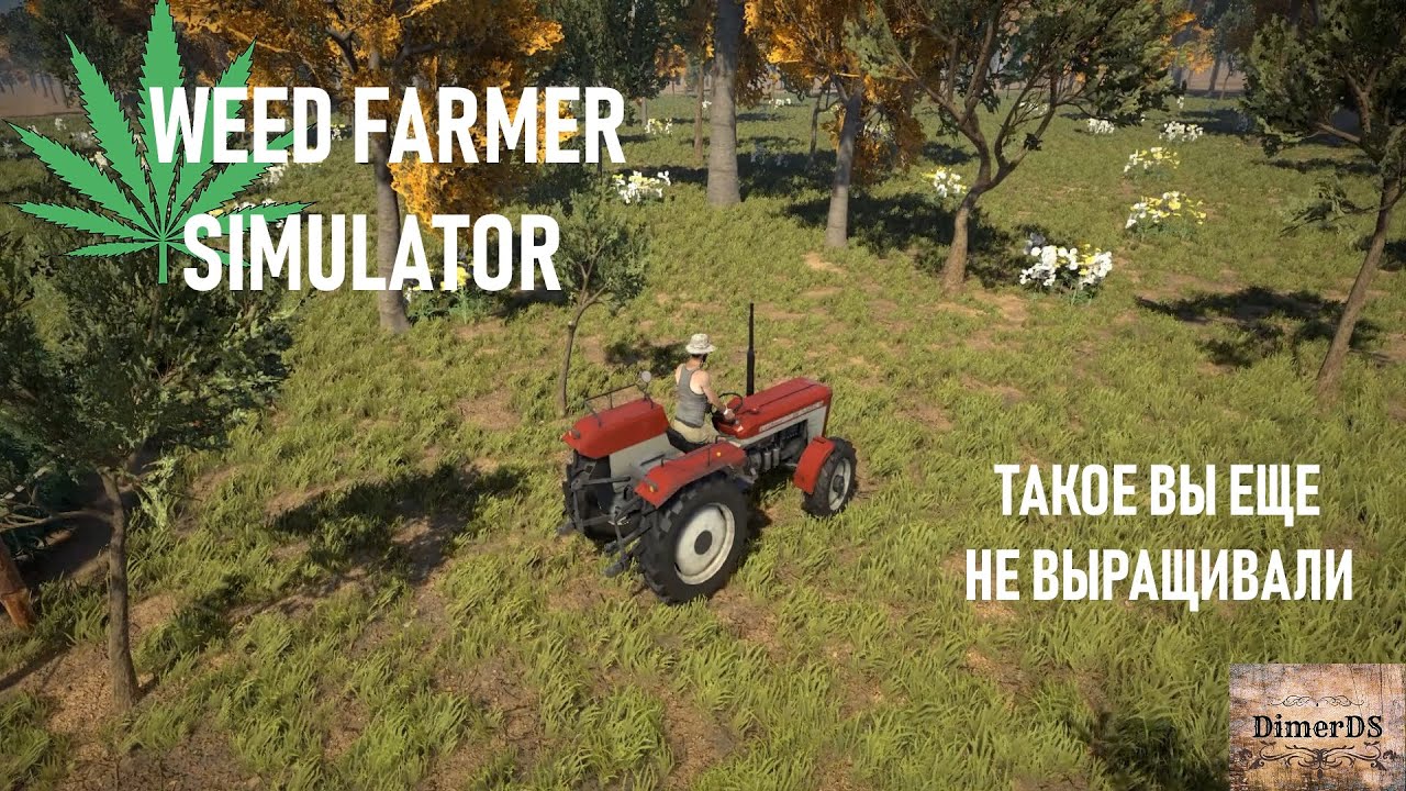 Weed Farmer Simulator. Лучшая альтернатива традиционным культурам