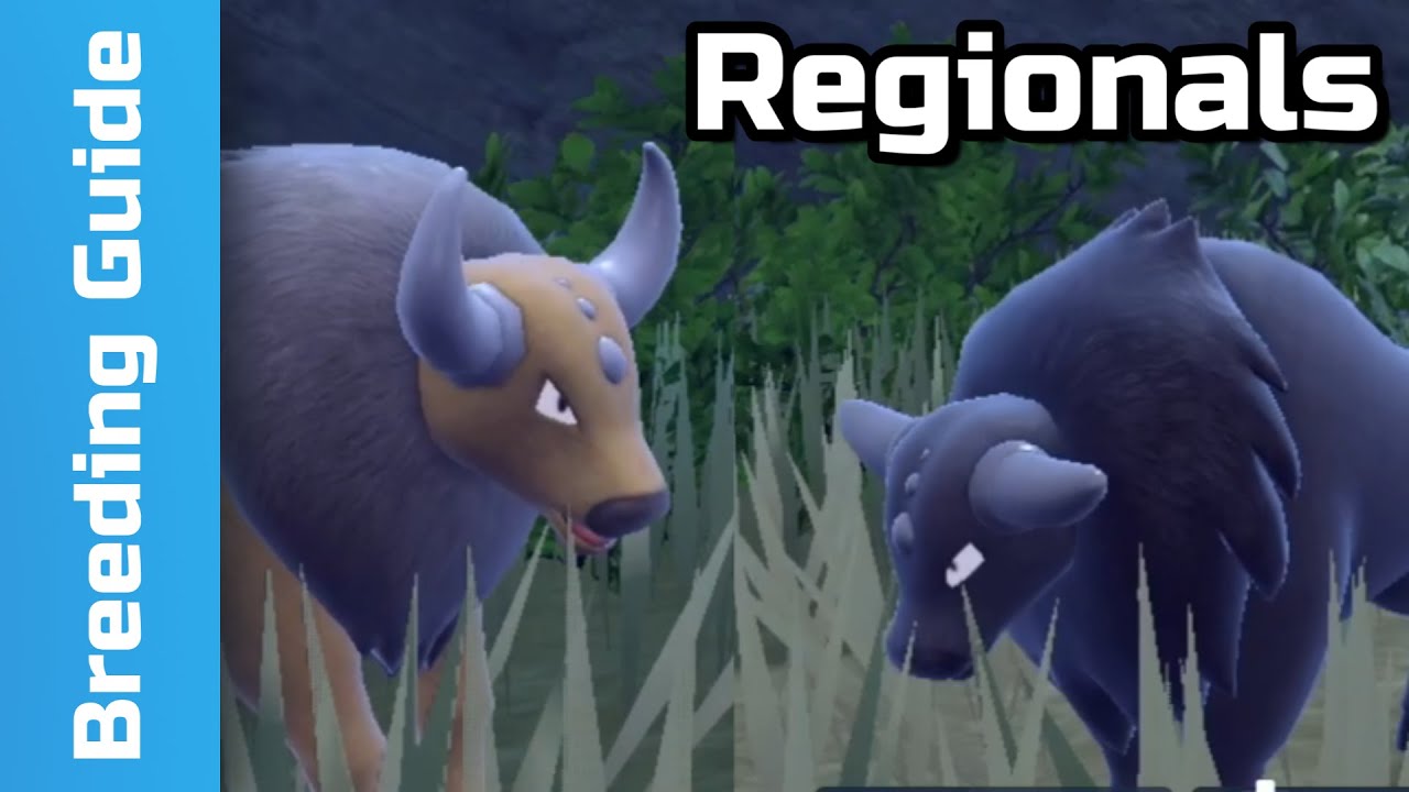 Forms: Regionals Breeding Guide | Pokemon Scarlet & Violet (4)