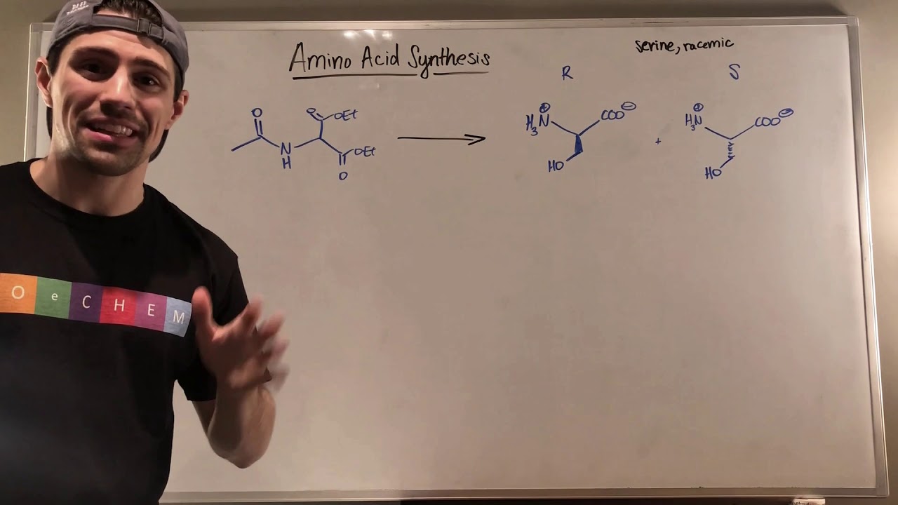 Amino Acid Synthesis by Leverage the Gabriel Synthesis