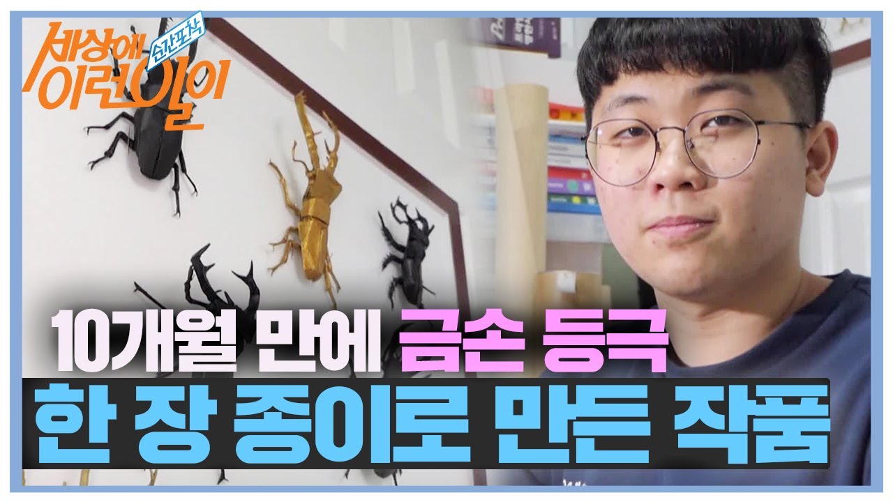‘금손 포스’ 한 장 종이접기로 만드는 곤충 모형★ㅣ순간포착 세상에 이런 일이(Instant Capture)ㅣSBS Story