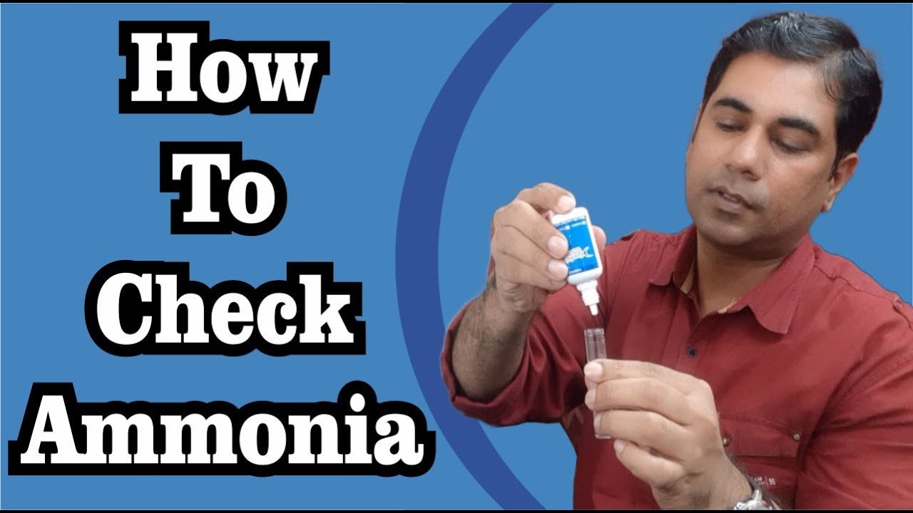 How To Check Ammonia - FeedWale Master Test Kit