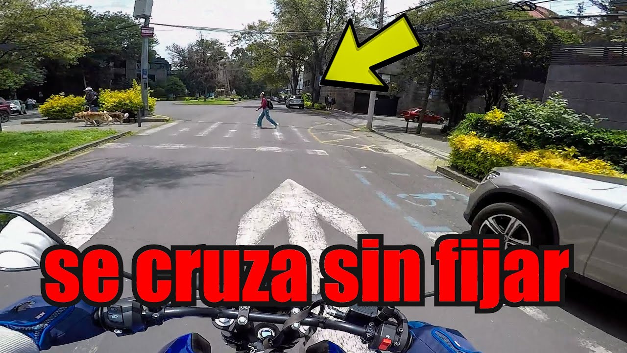 #97 observaciones diarias | se cruza sin fijar | una vida de perro | triciclo moto | esos baches 😲😲😲