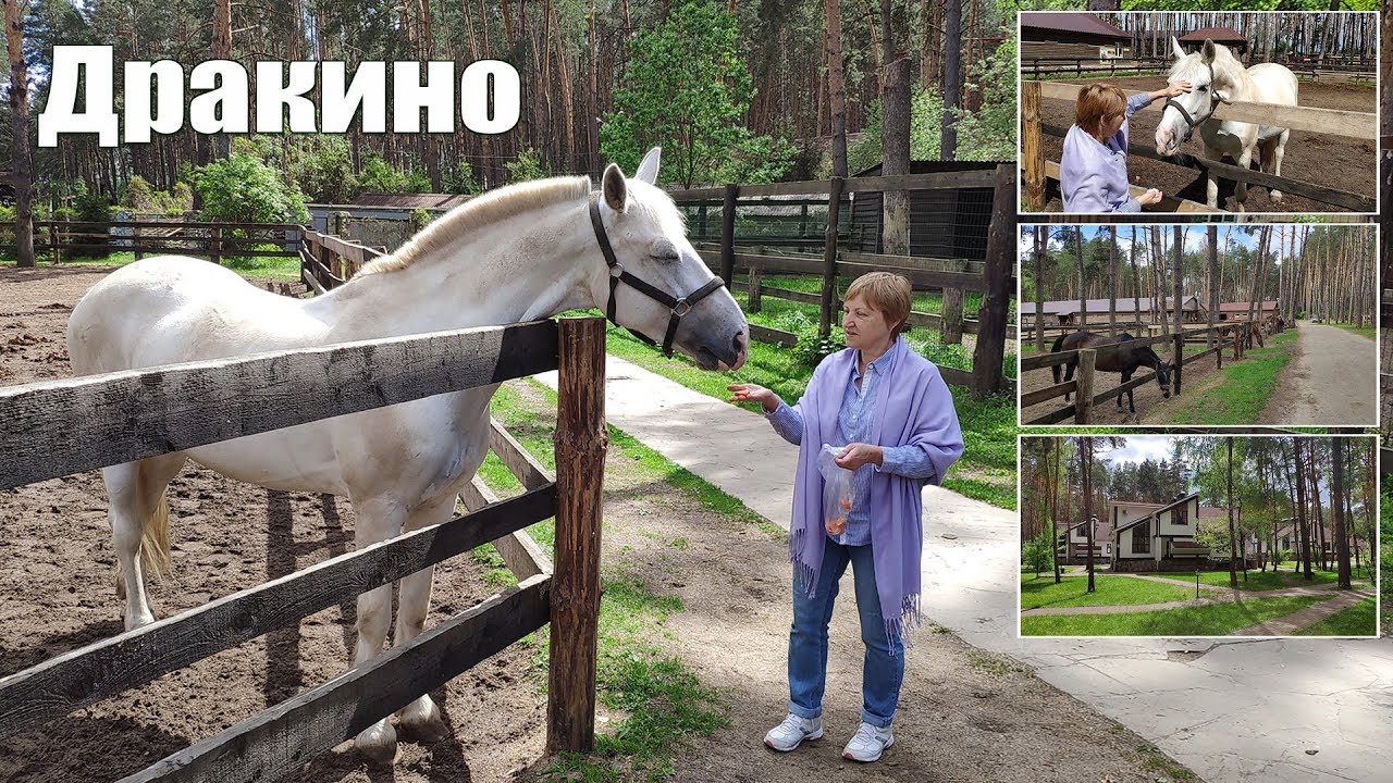 Путешествие в Дракино  |  The trip to Drakino