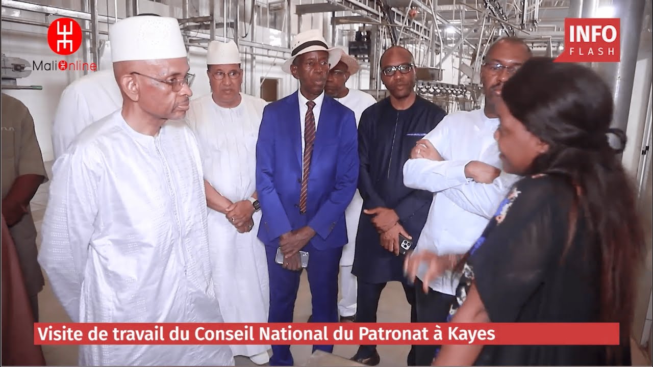 VISITE DE TRAVAIL DU CNPM &Agrave; KAYES - JOUR 1