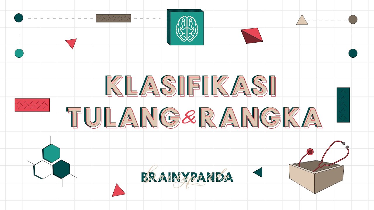 Klasifikasi Tulang dan Rangka | Ilmu Biomedik Dasar | Brainy Panda