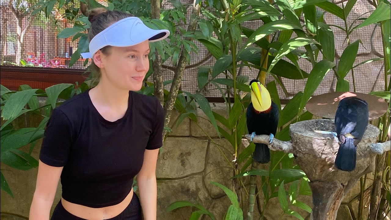 Diamante Eco Adventure Park, Guanacaste Costa Rica January 2023 Wildlife Sanctuary sloths toucans