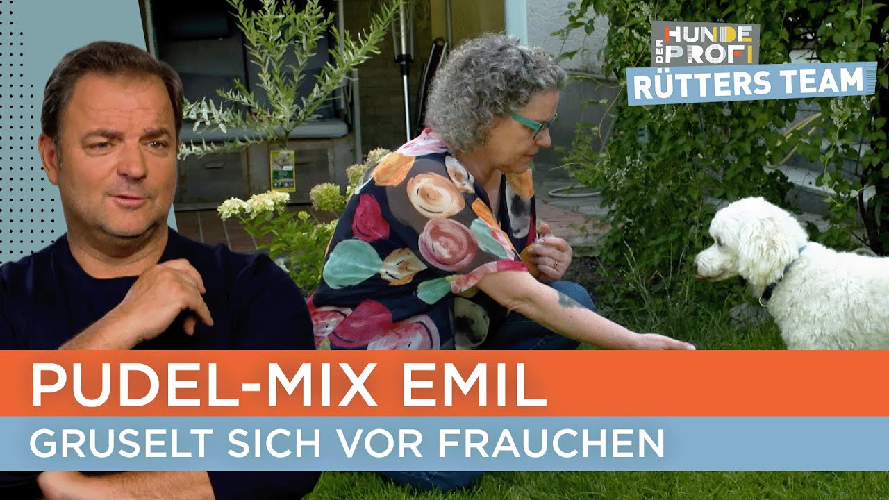 Kann Hundetrainer Marcel die beiden einander n&auml;her bringen? 🫣 | Der Hundeprofi - R&uuml;tters Team
