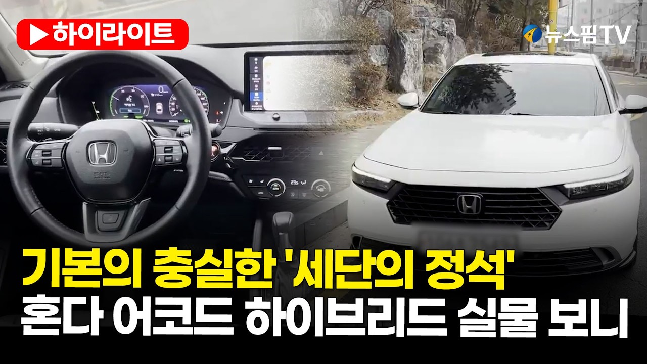 [스팟Live] 기본의 충실한 '세단의 정석'...혼다 어코드 하이브리드 실물 보니