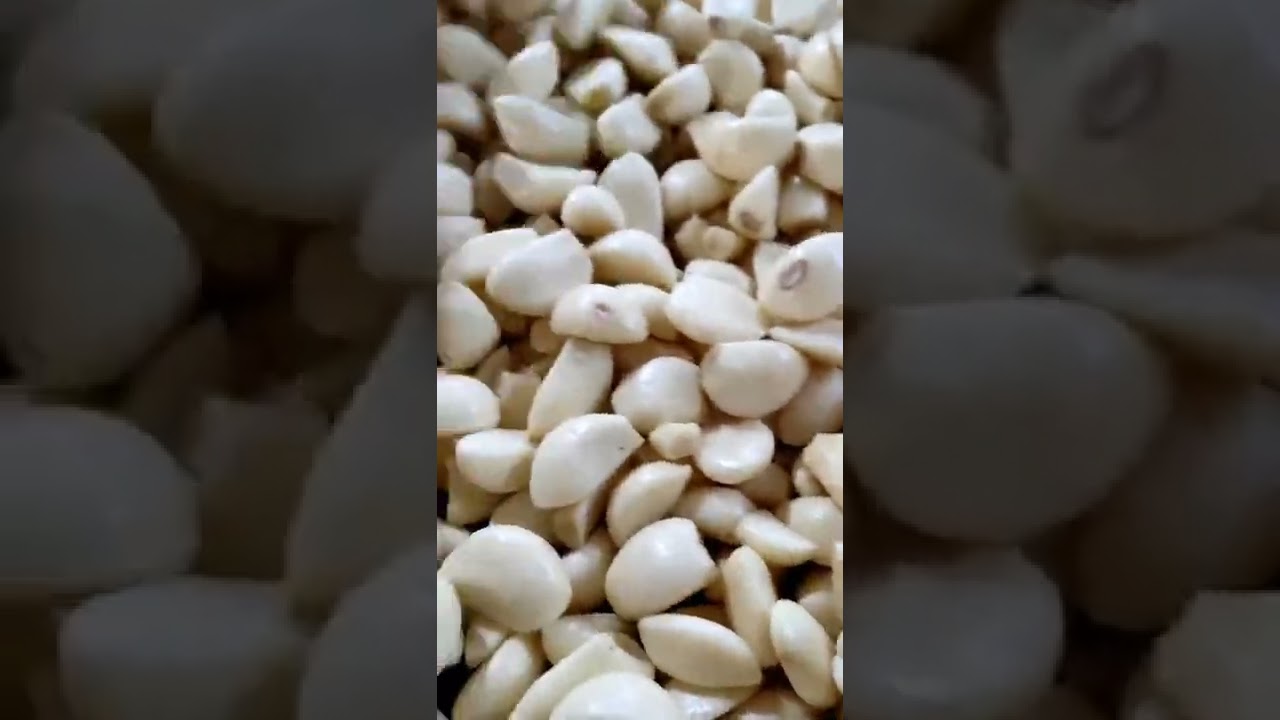 peeled garlic clove color sorter/clasificador de color de diente de ajo pelado