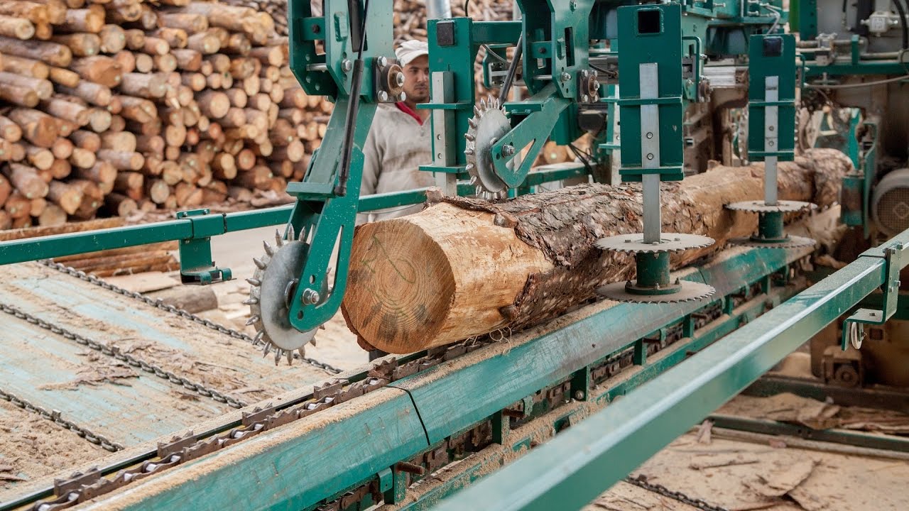 Bulgarian woodworking enterprise processes small logs with the innovative Wood-Mizer's SLP2 line