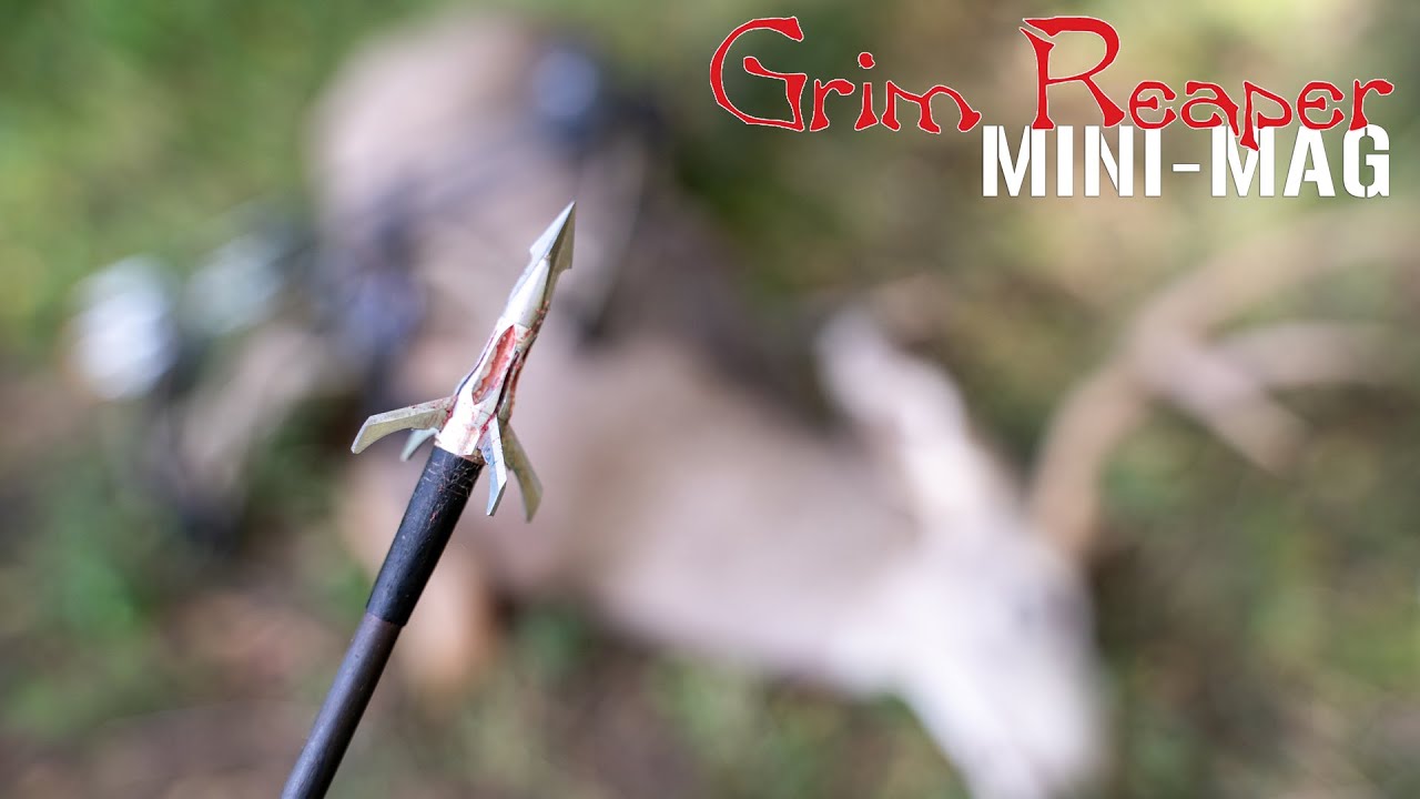 ATA 2023 - Updates to the Grim Reaper Mini-Mag Broadhead